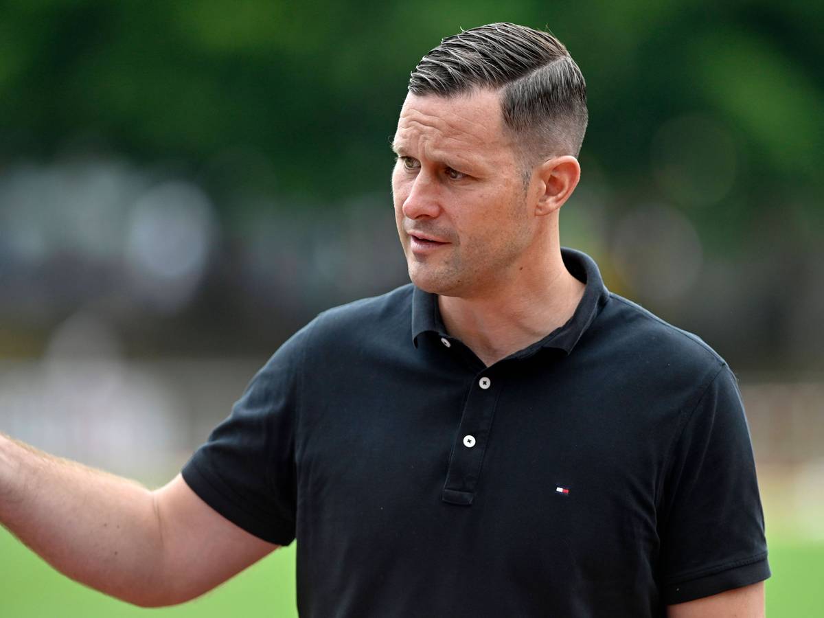 Luzerns Sportkoordinator David Zibung klatscht beim Spiel gegen den FC Schaffhausen ab.