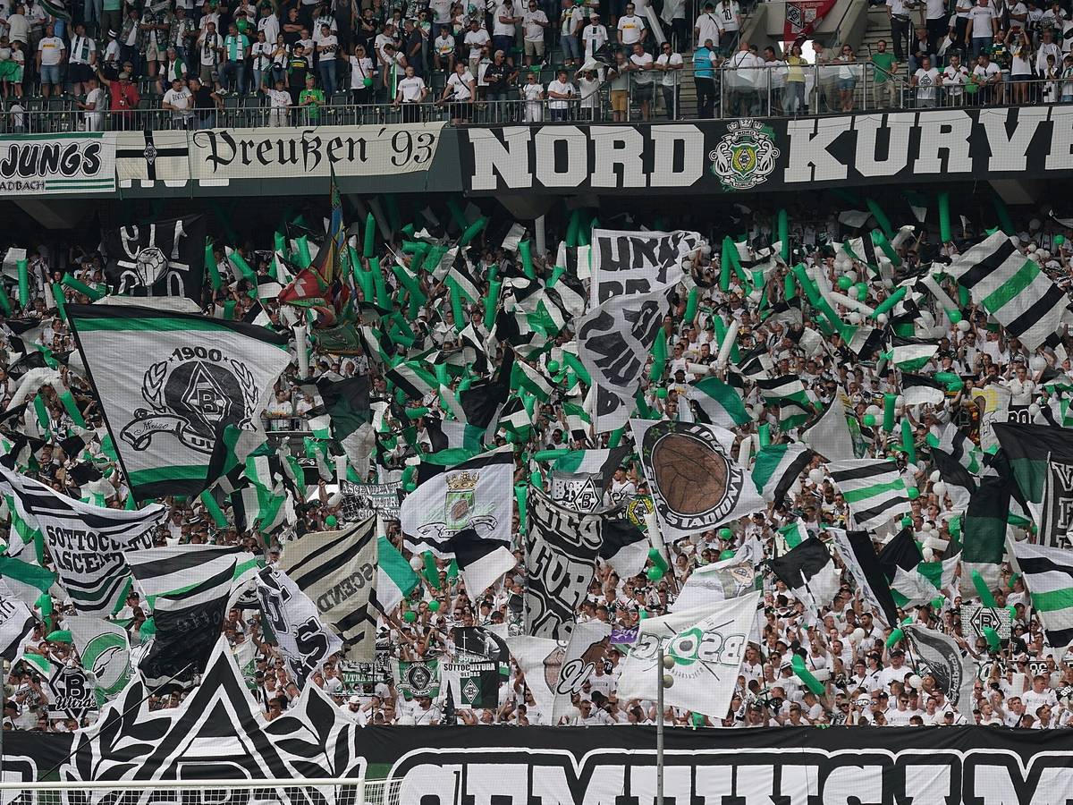 Die Fans von Borussia Mönchengladabch schwenken beim Spiel gegen die TSG Hoffenheim ihre Fahnen.
