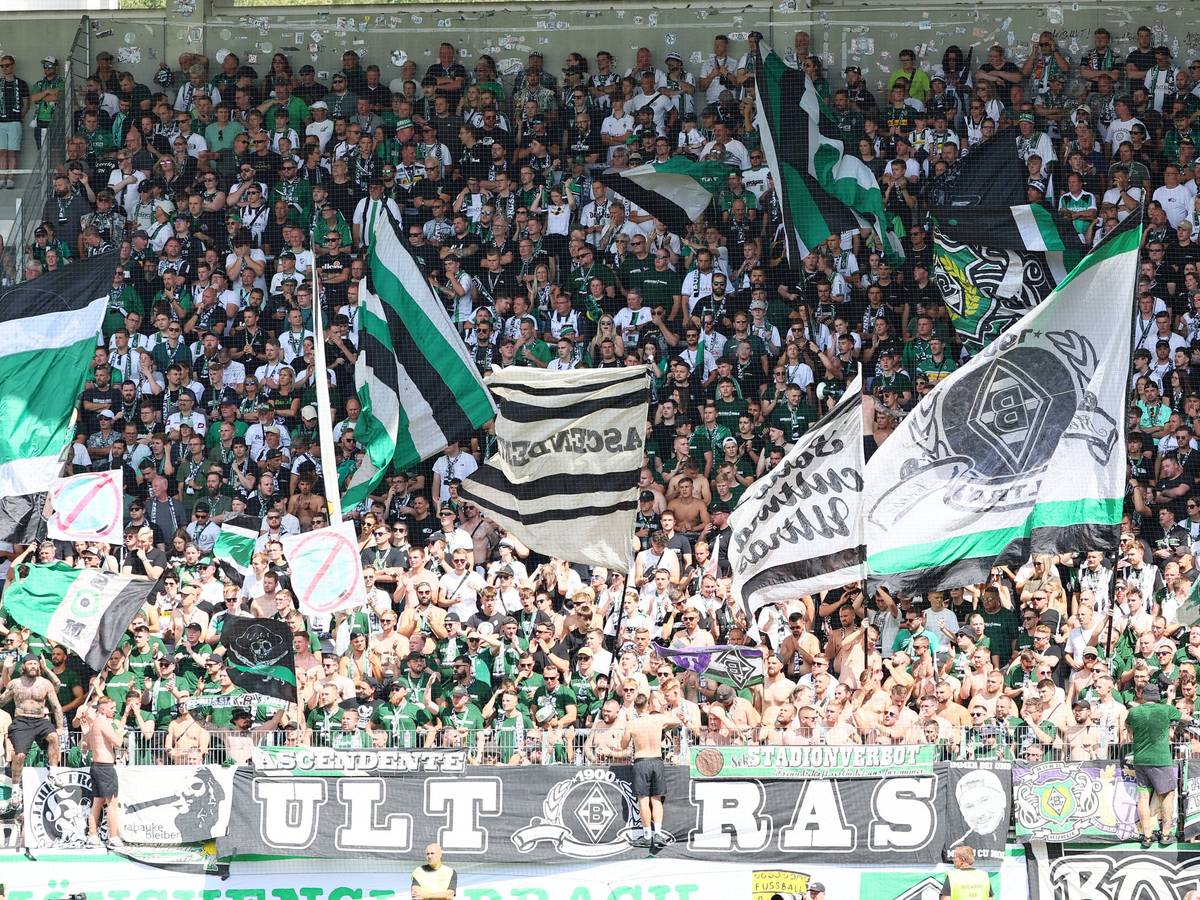 Fans von Borussia Mönchengladbach schwenken beim Pokal-Spiel in Aue ihre Fahnen.
