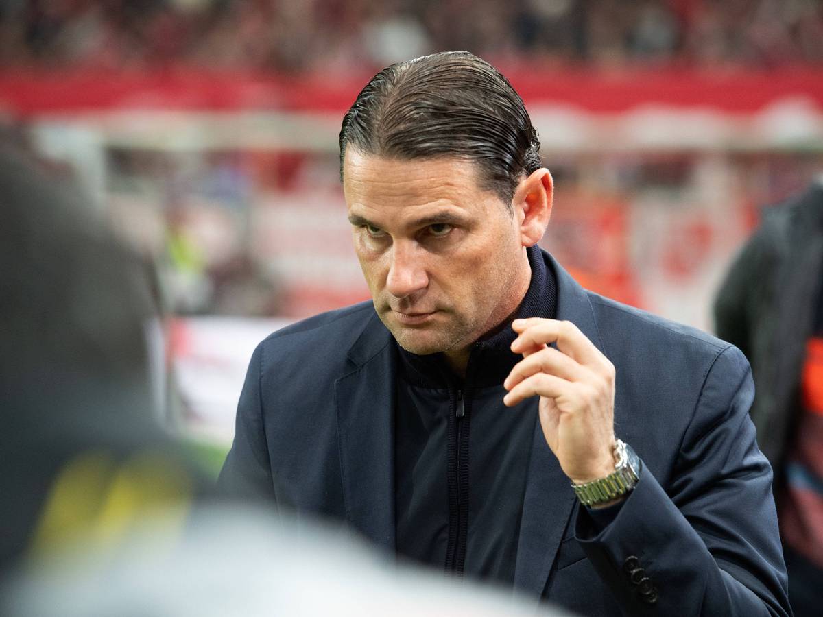 Gerardo Seoane vor dem Spiel gegen den FSV Mainz 05.