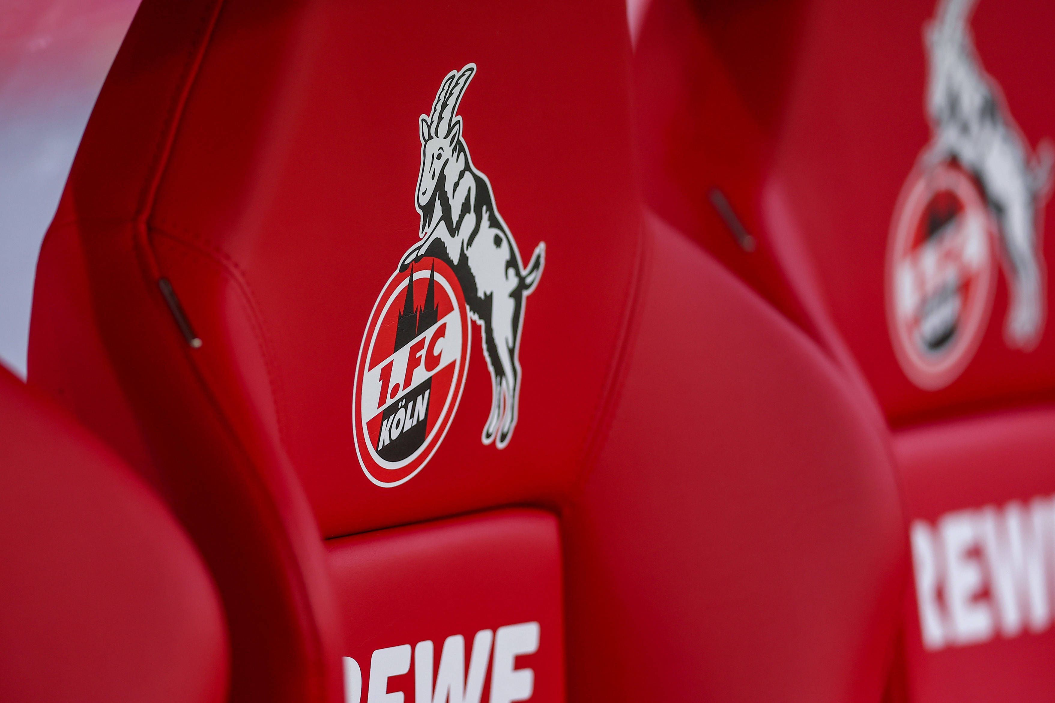 Ein Sitz der Trainerbank des 1. FC Köln.