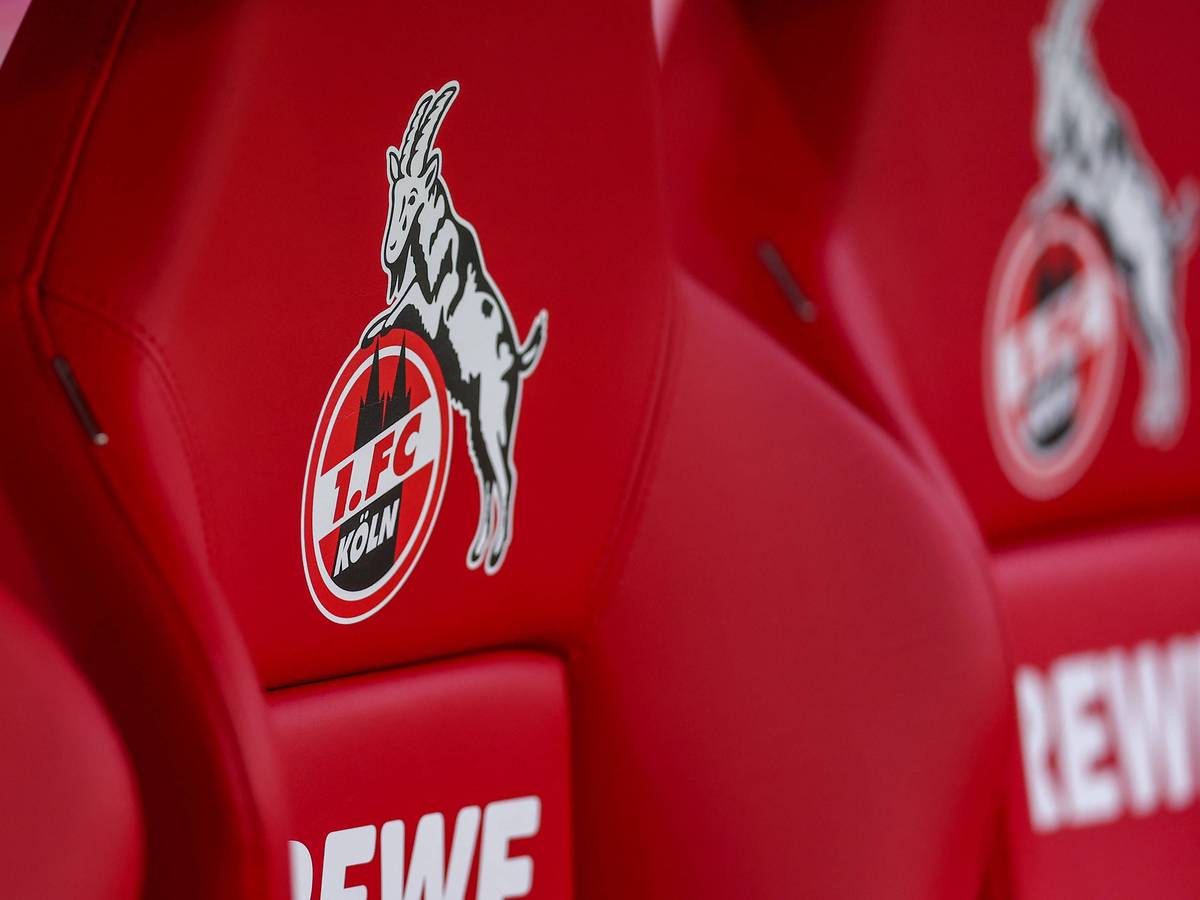Ein Sitz der Trainerbank des 1. FC Köln.