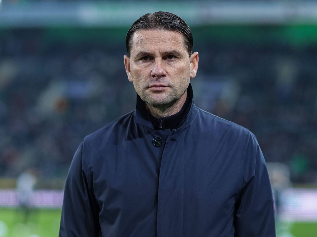Gerardo Seoane vor dem Spiel gegen Eintracht Frankfurt.