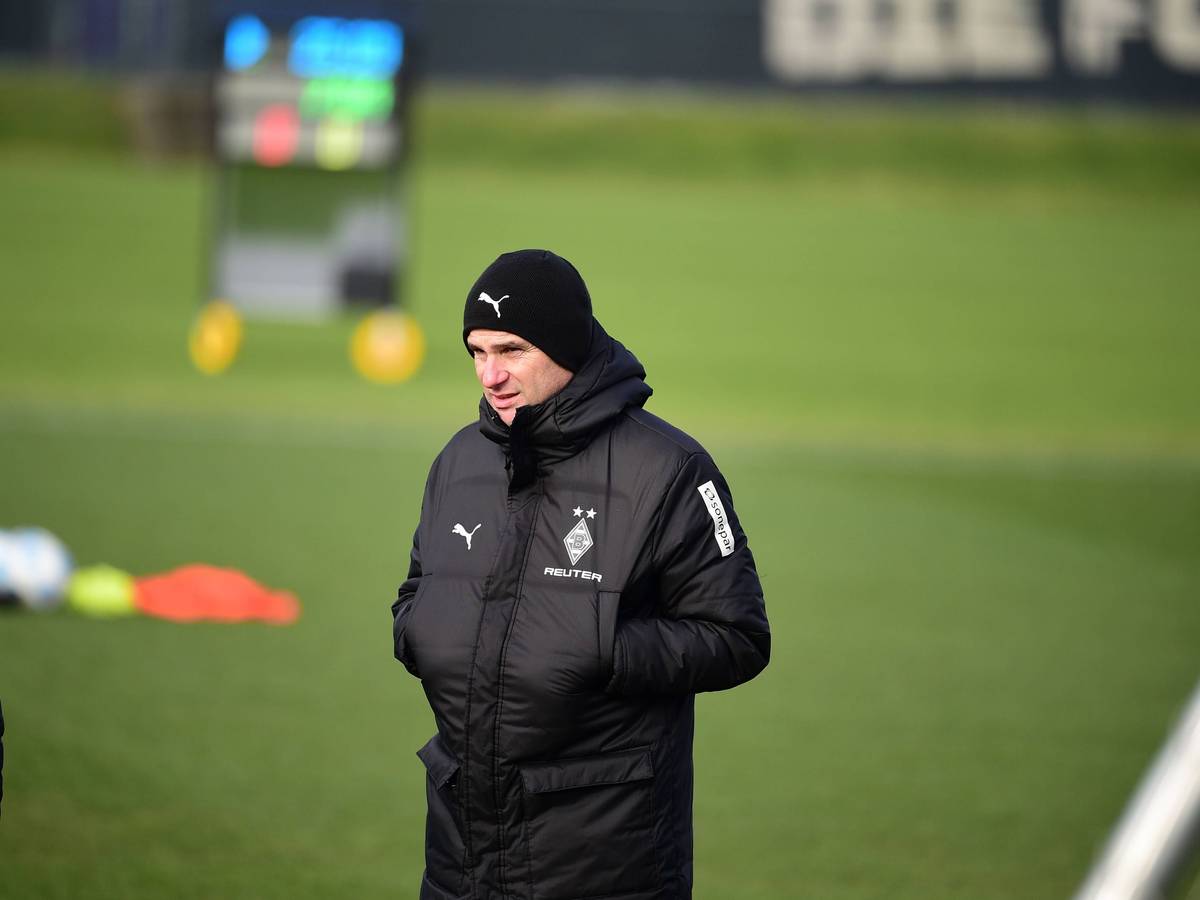 Gerardo Seoane im Fohlen-Training.
