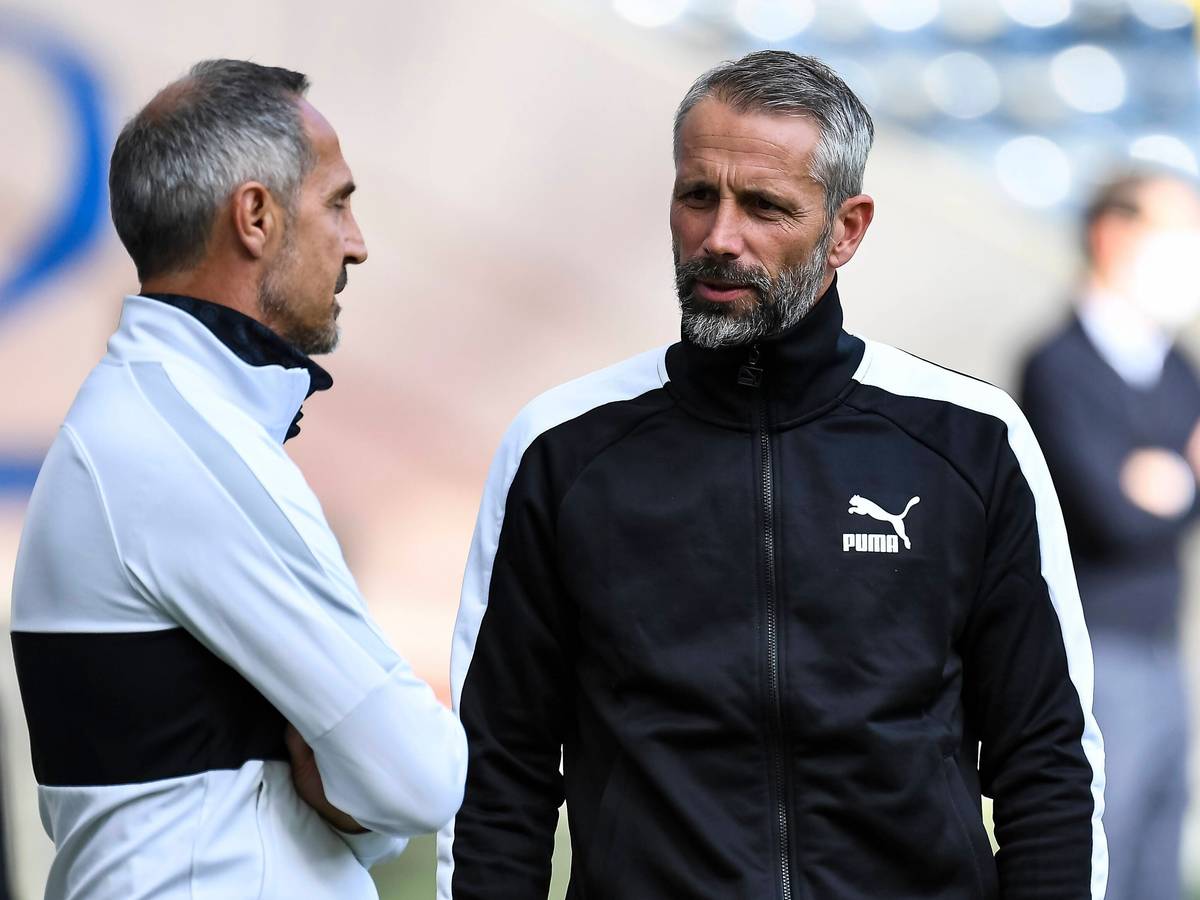 Adi Hütter und Marco Rose im Trainingsanzug an der Seitenlinie.