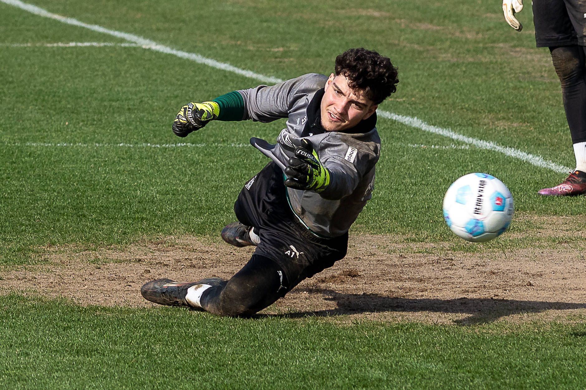 Borussia Mönchengladbachs Keeper Tiago Pereira Cardoso hechtet im Training nach einem Ball.