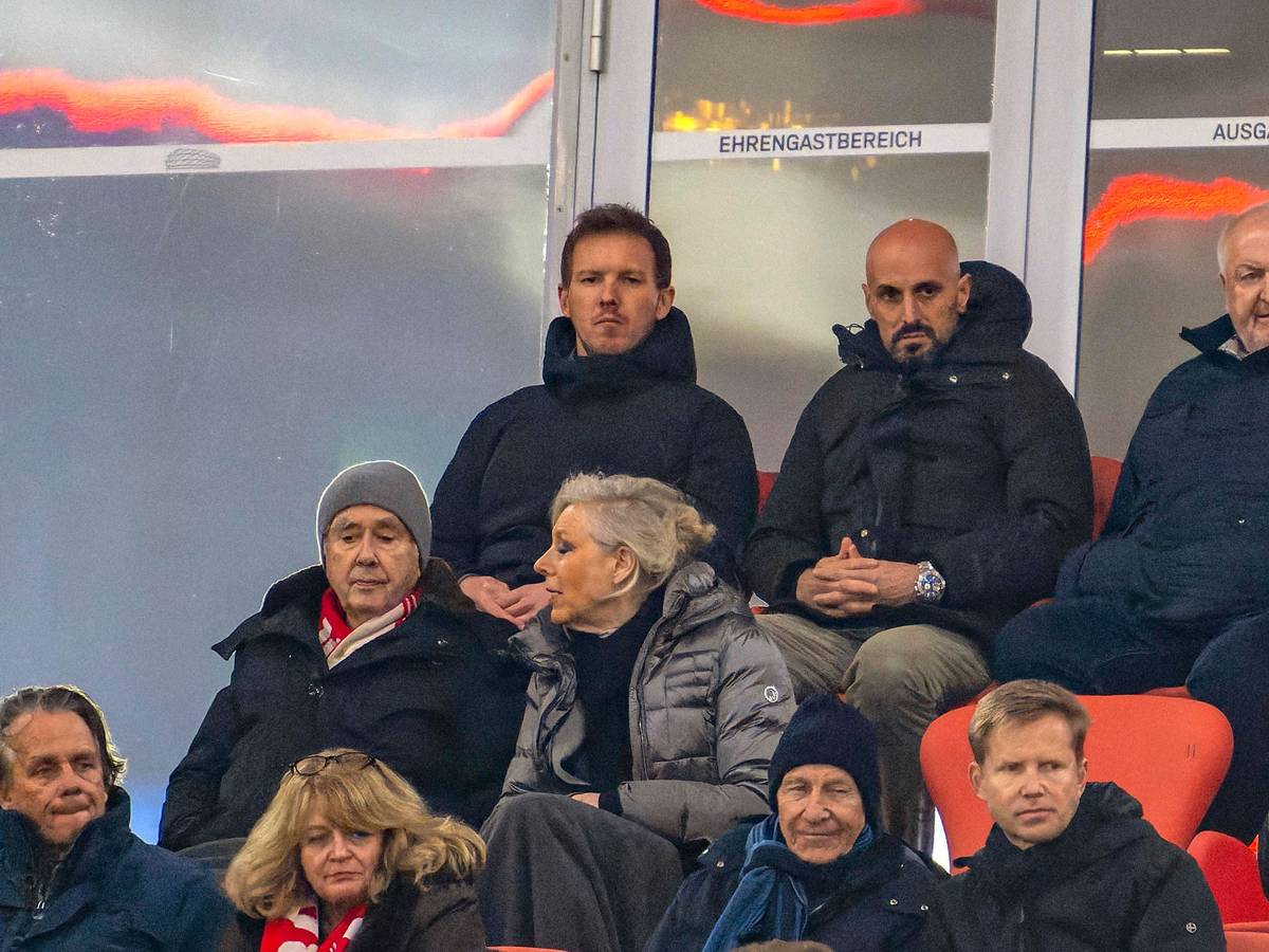 Julian Nagelsmann und Antonio Di Salvo in der Allianz-Arena.