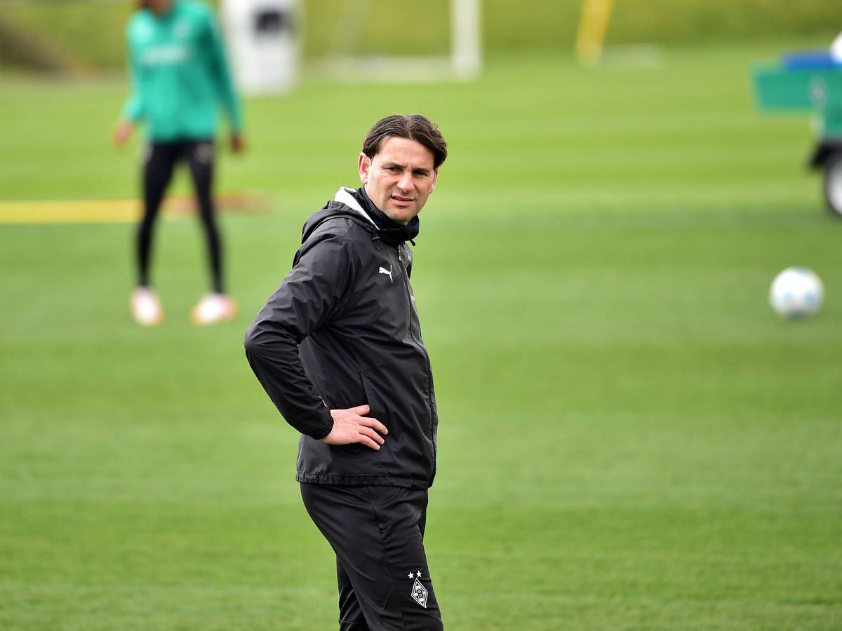 Gerardo Seoane schaut im Gladbach-Training über den Platz.