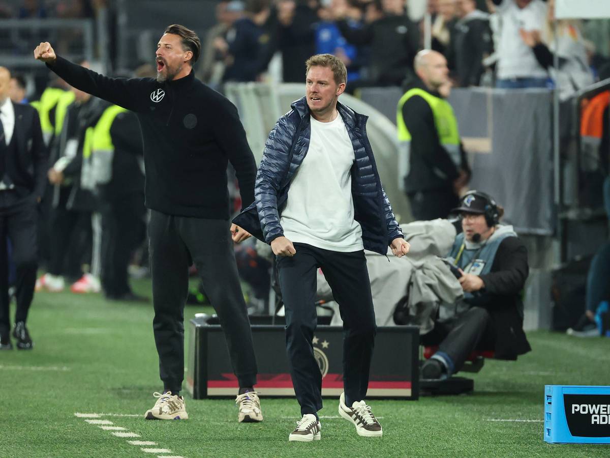 Julian Nagelsmann und Sandro Wagner jubeln an der Seitenlinie.