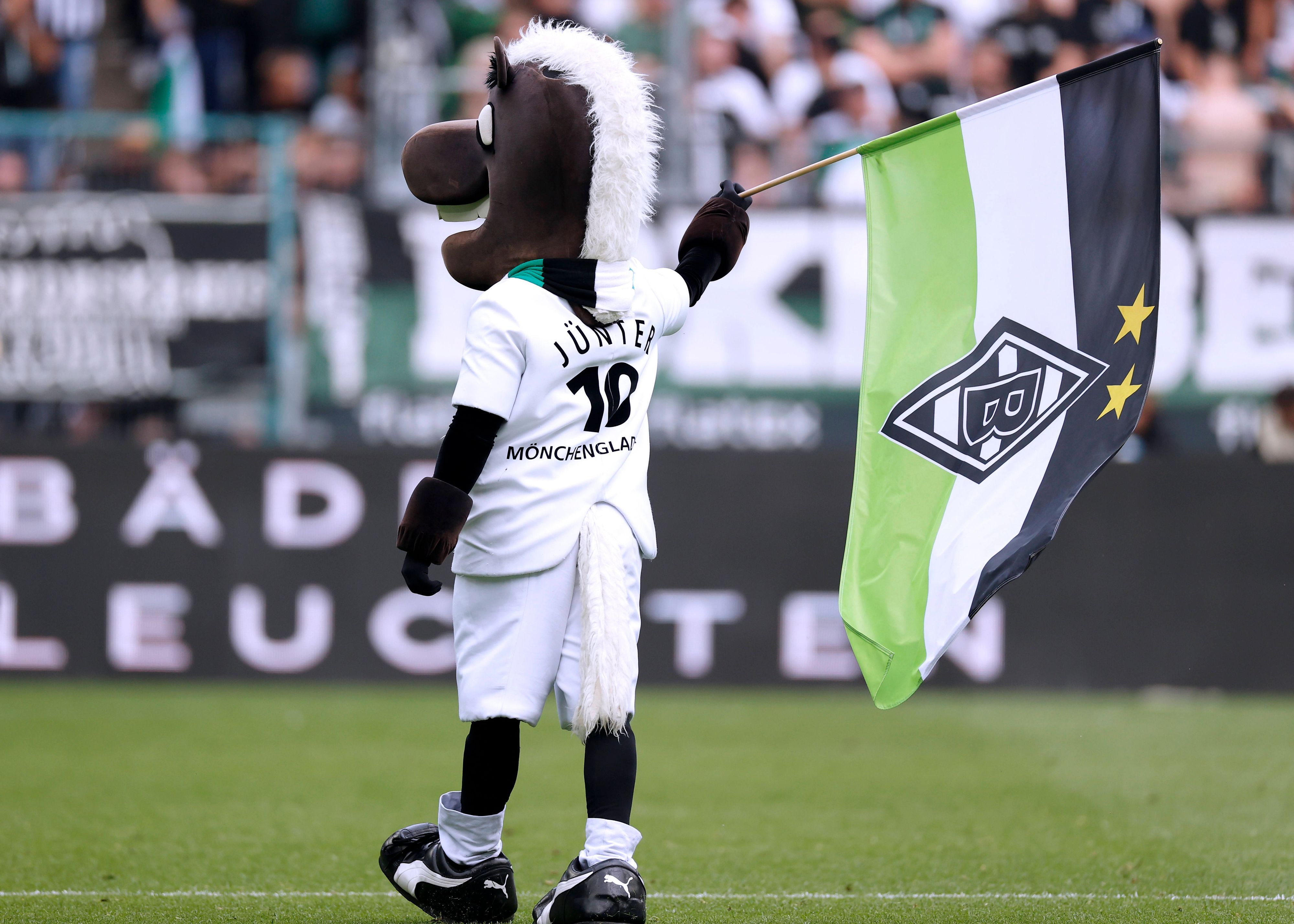 Jünter schwenkt die Gladbach-Fahne.