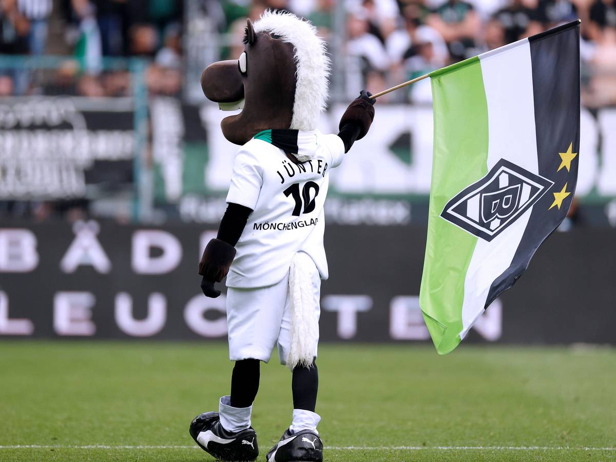Jünter schwenkt die Gladbach-Fahne.