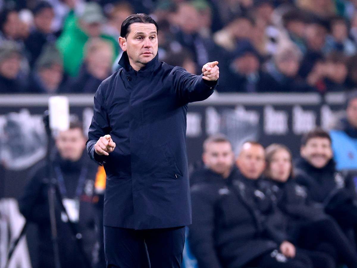 Gerardo Seoane coacht an der Seitenlinie im Spiel gegen Eintracht Frankfurt.
