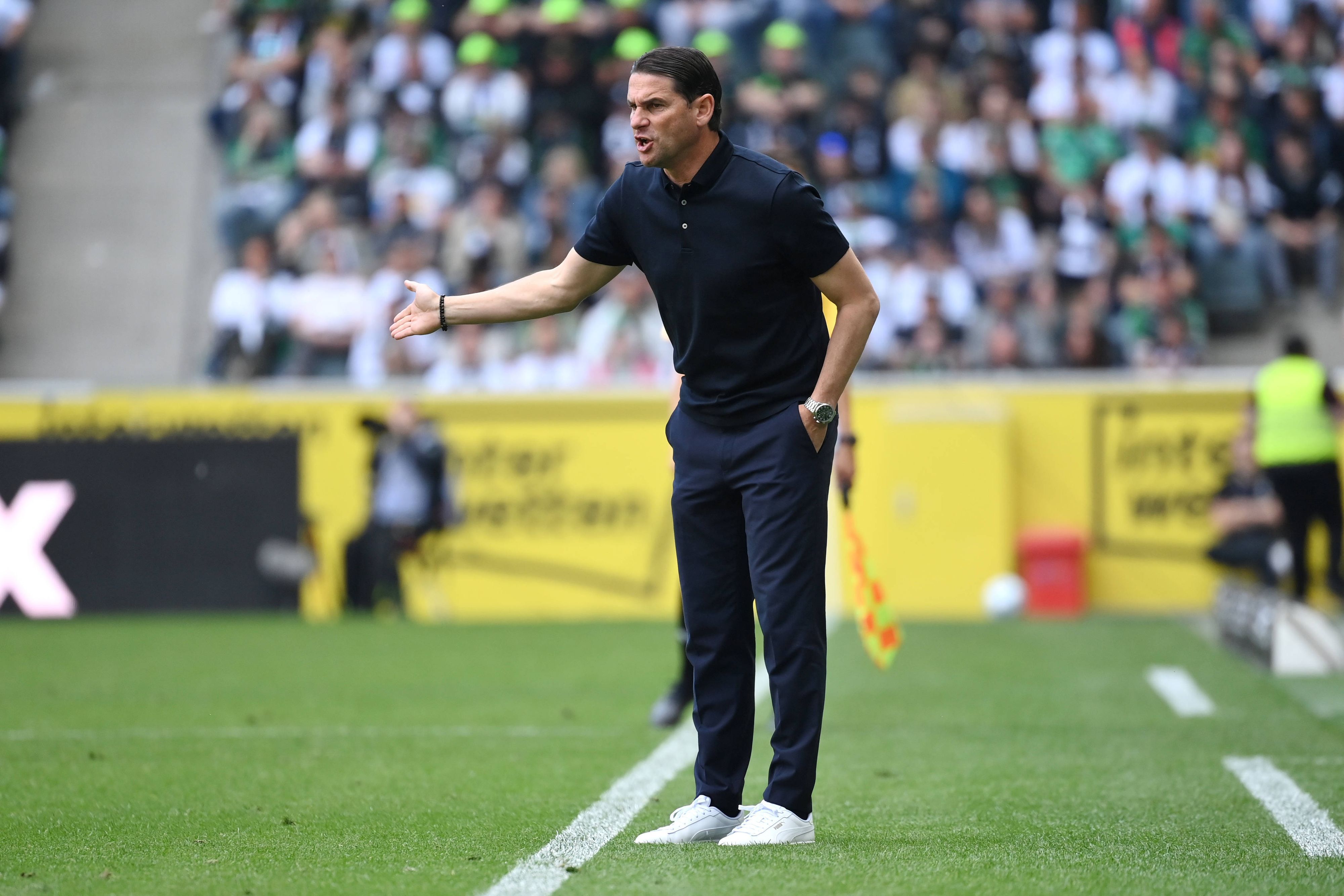 Gladbach-Trainer Gerardo Seoane.