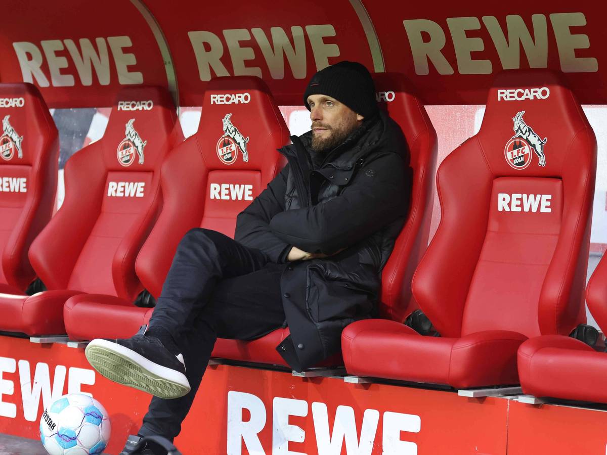 Nils-Ole Book auf der Bank des 1. FC Köln.
