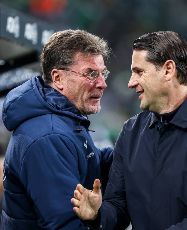 Dieter Hecking und Gerardo Seoane lachen miteinander.