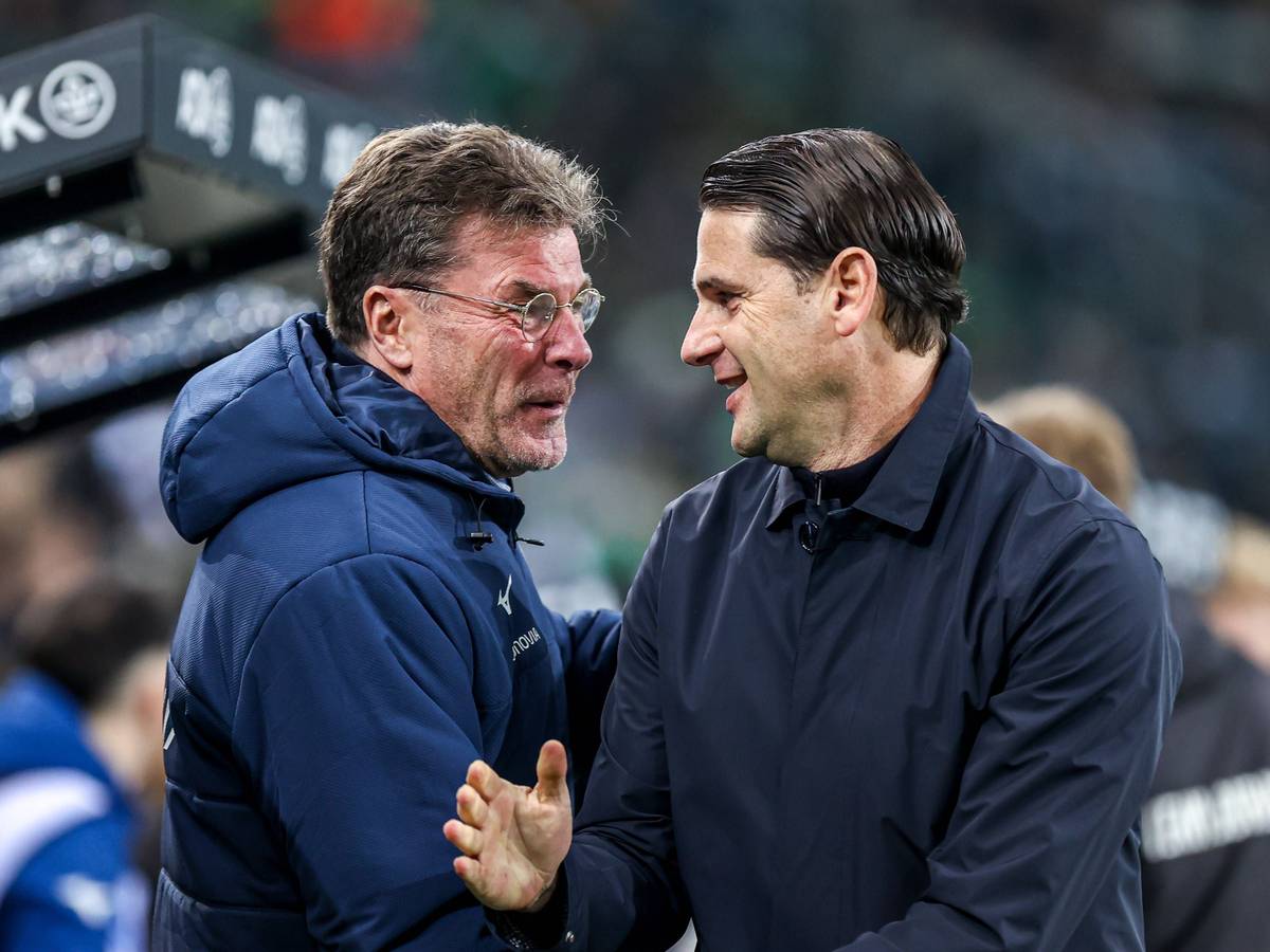 Dieter Hecking und Gerardo Seoane lachen miteinander.