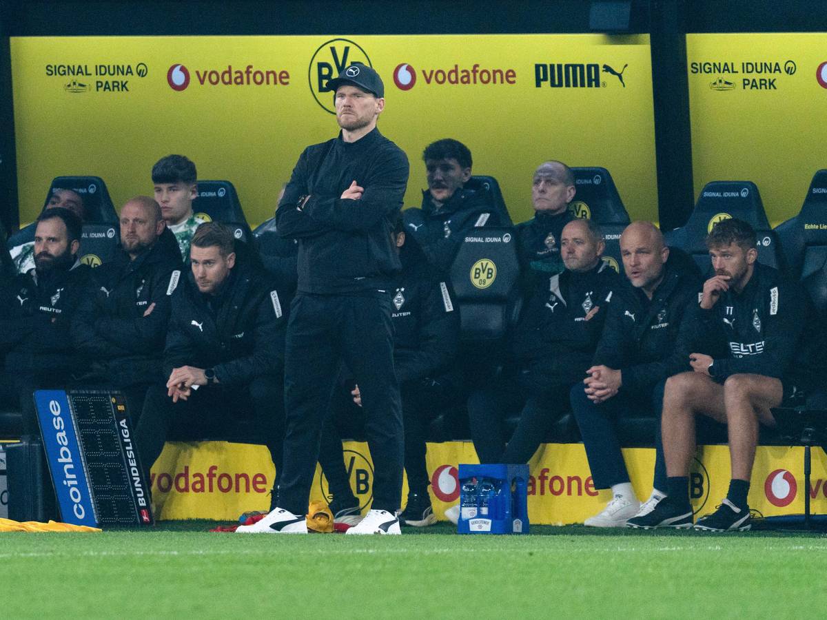 Eugen Polanski steht mit Team auf der Trainerbank