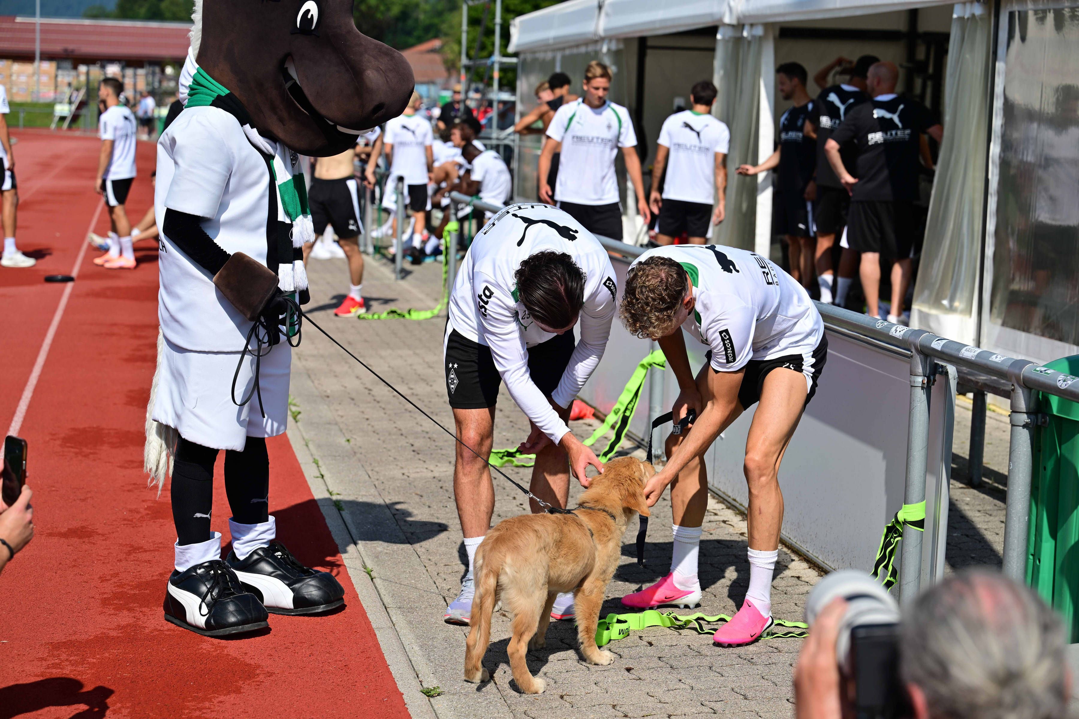 Maskottchen Jünter, Joe Scally, Robin Hack und Welpe