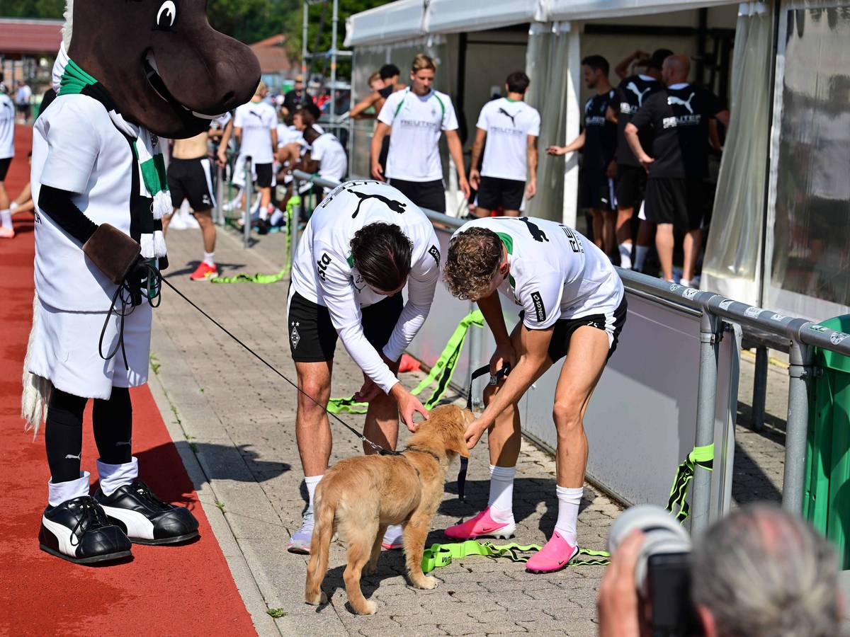 Maskottchen Jünter, Joe Scally, Robin Hack und Welpe