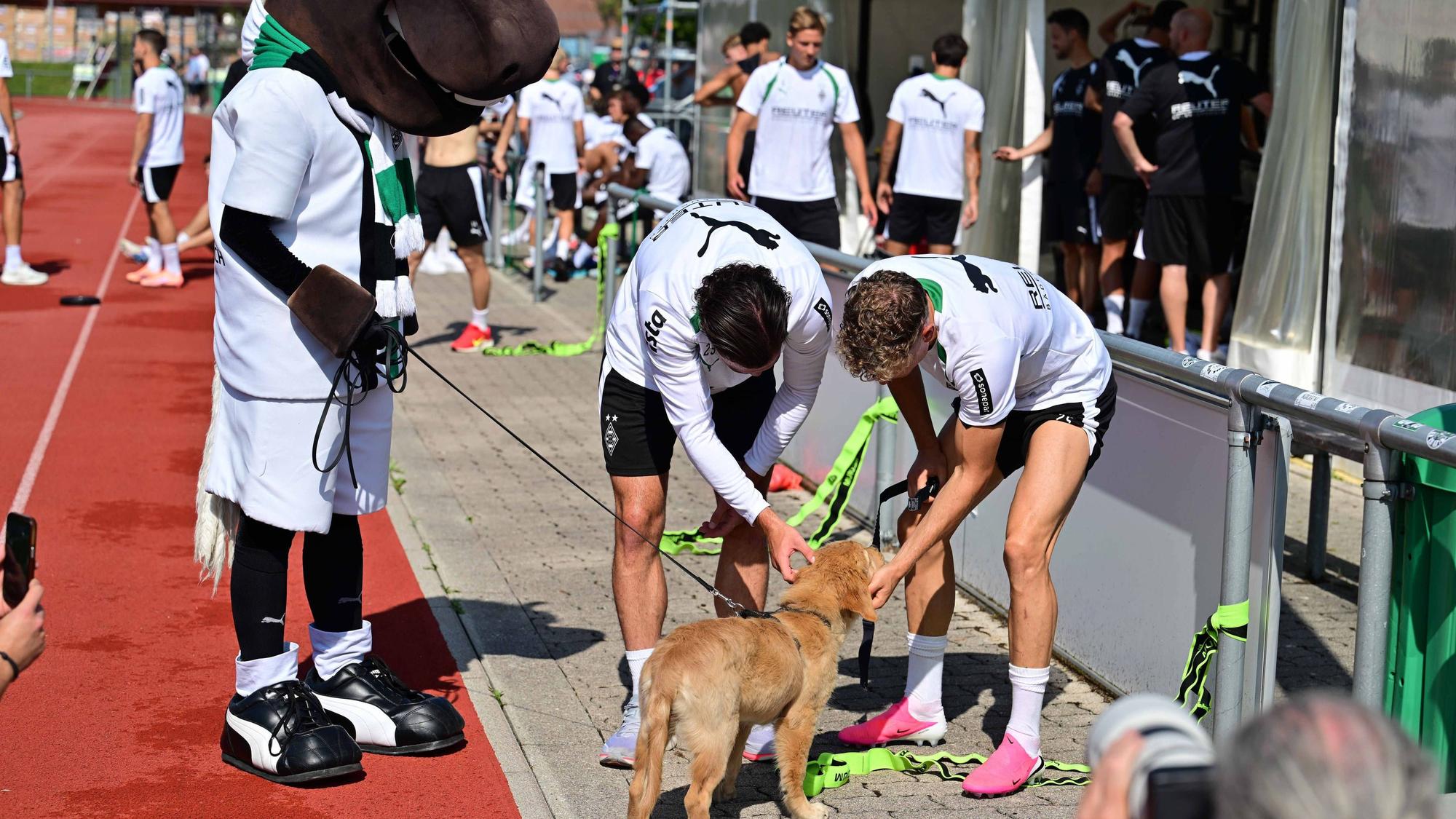 Maskottchen Jünter, Joe Scally, Robin Hack und Welpe
