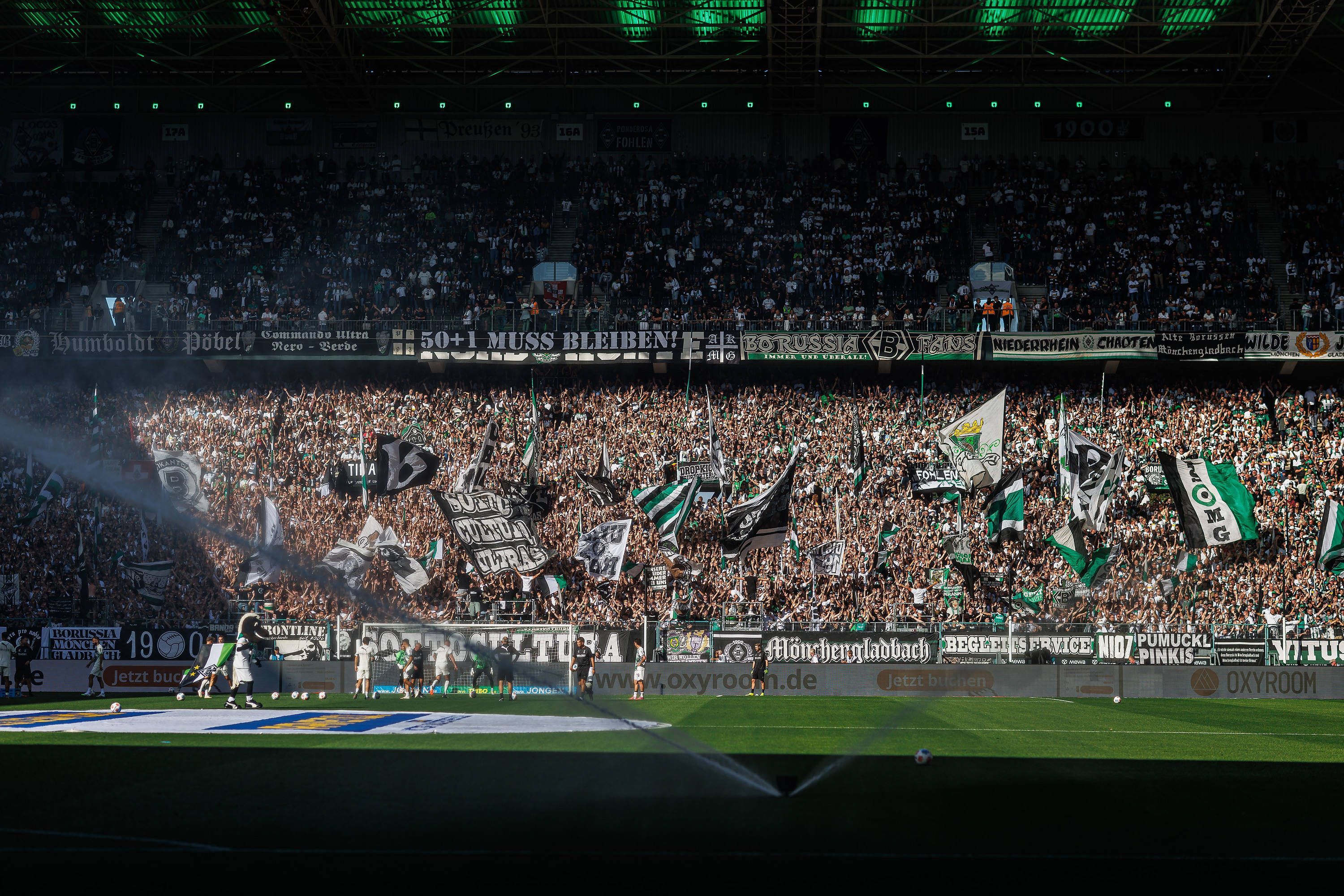 Blick auf die Fans von Borussia Mönchengladbach im Stadion.